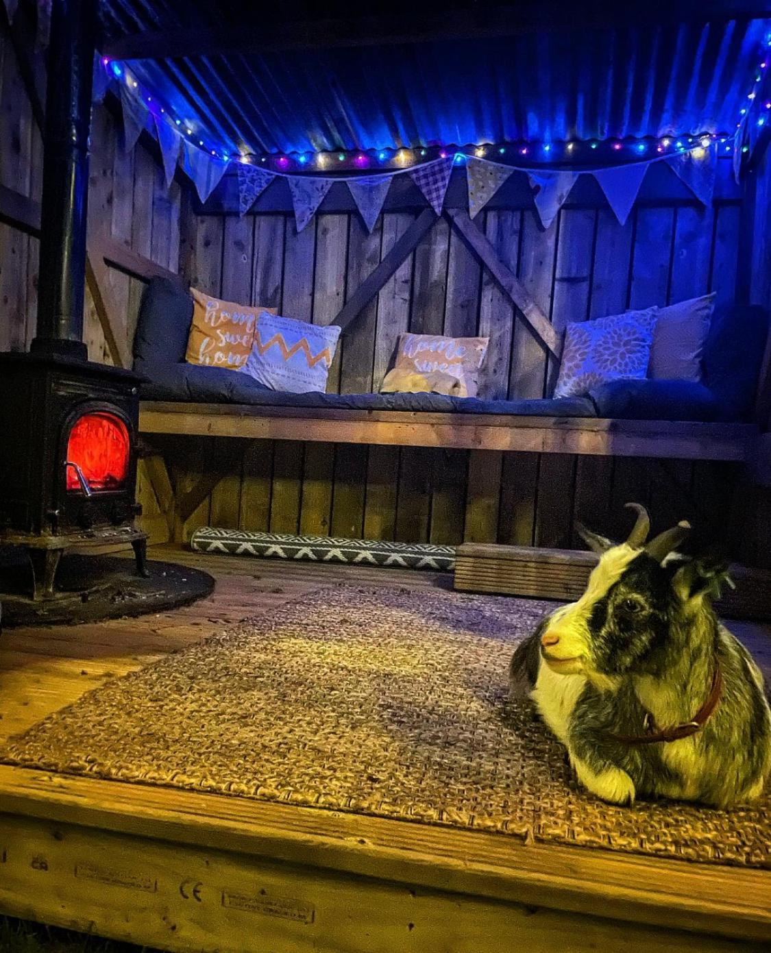 North Yorkshire Horse Box酒店 外观 照片